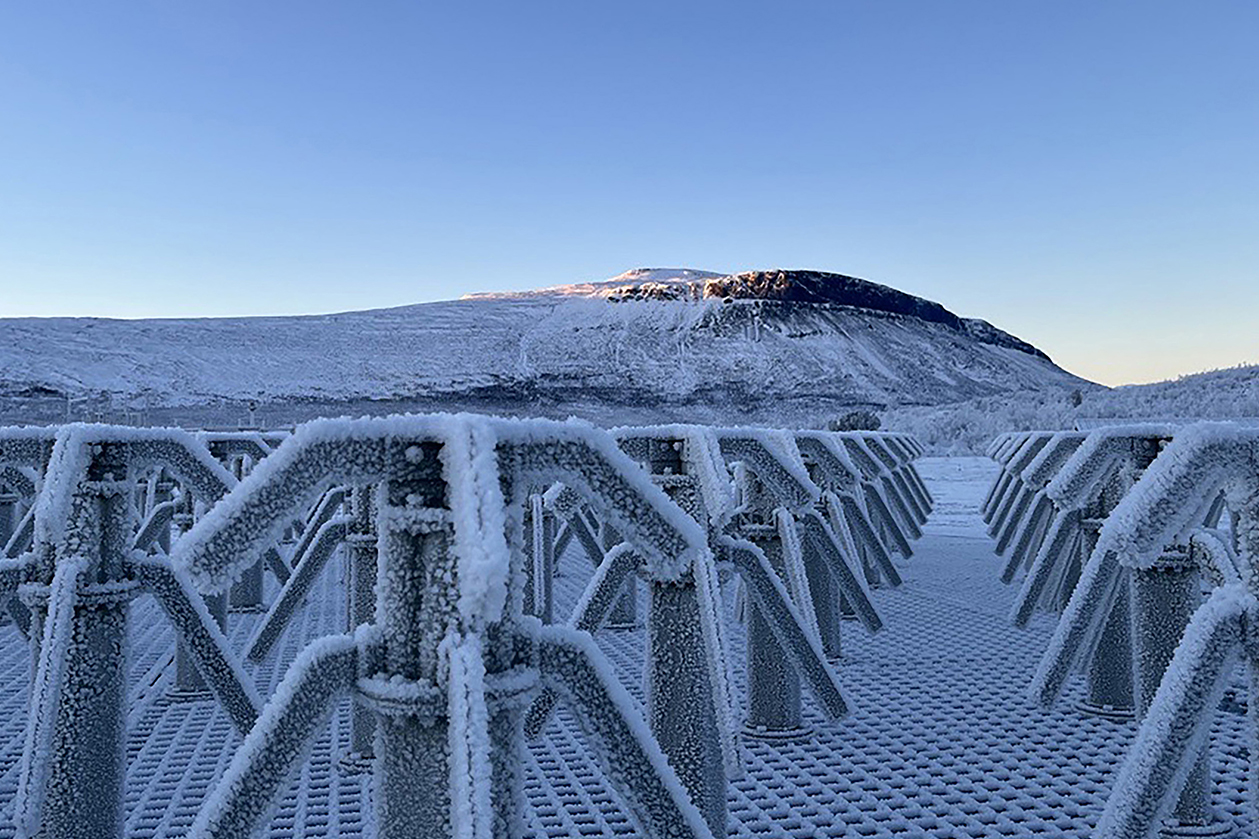 EISCAT_3D Antenna elements in frost.
